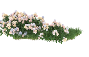 Realistic foliage isolated on transparent background. 3d rendering - illustration png