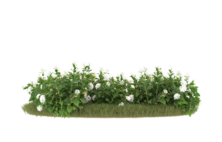 Realistic foliage isolated on transparent background. 3d rendering - illustration png