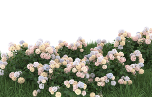 Realistic foliage isolated on transparent background. 3d rendering - illustration png