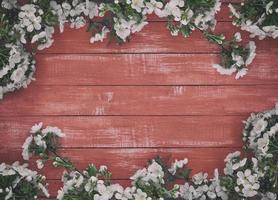 Branches of blossoming white cherry on a red wooden surface photo