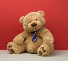 teddy bear in a tie sits on a red background photo