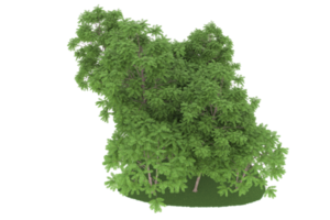 Realistic forest isolated on transparent background. 3d rendering - illustration png