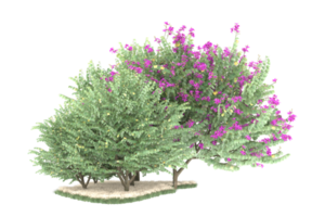 forêt réaliste isolée sur fond transparent. rendu 3d - illustration png