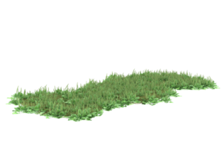 Realistic foliage isolated on transparent background. 3d rendering - illustration png