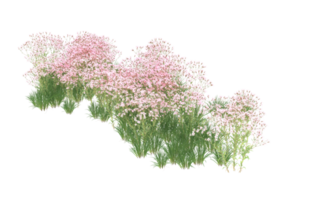 Realistic foliage isolated on transparent background. 3d rendering - illustration png