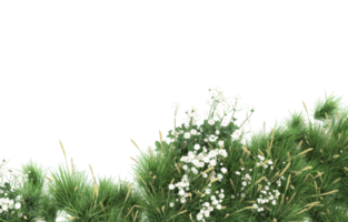 Realistic foliage isolated on transparent background. 3d rendering - illustration png