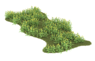 Realistic foliage isolated on transparent background. 3d rendering - illustration png