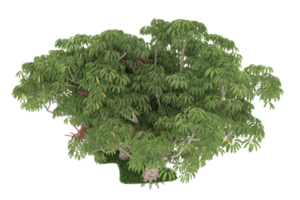 Realistic forest isolated on transparent background. 3d rendering - illustration png