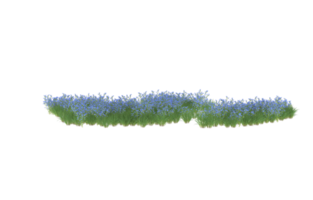 realistico fogliame isolato su trasparente sfondo. 3d interpretazione - illustrazione png