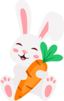 easter bunny rabbit and eggs png