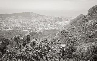 View behind bushes in wilderness Table Mountain Cape Town. photo