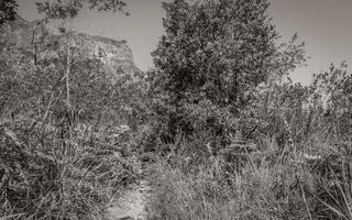 Hiking trail and mountain view Tablemoutain National Park, Cape Town. photo