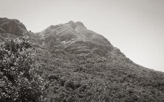 parque nacional de la montaña de la mesa ciudad del cabo, sudáfrica. foto