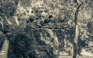 pequeño parque nacional de la montaña de la mesa de la cascada zen. Ciudad del Cabo, Sudáfrica. foto