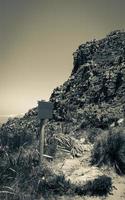 Table Mountain National Park green empty road information board. photo