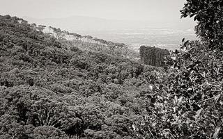 View from Table Mountain in Cape Town to Claremont. photo