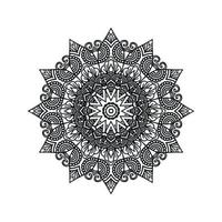 Mandala vector pattern design background