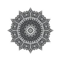 Mandala vector pattern design background