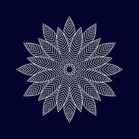 New mandala designs vector illustration