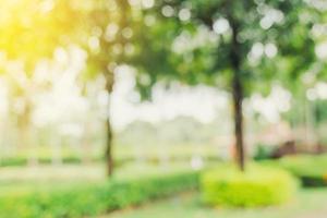 defocused bokeh and blur background of garden trees in sunlight with vintage toned. photo