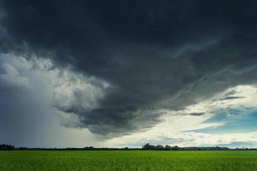Storm clouds on rice field in rainy season photo