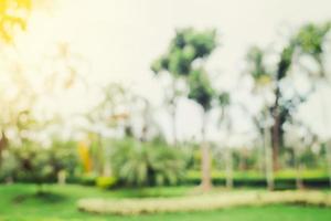 defocused bokeh and blur background of garden trees in sunlight with vintage toned. photo