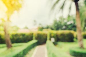 defocused bokeh and blur background of garden trees in sunlight with vintage toned. photo