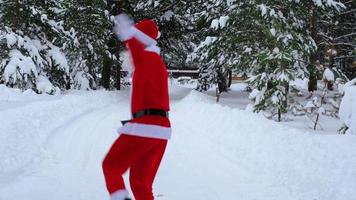papai noel está se divertindo e dançando engraçado, mostra truques acrobáticos, elementos de luta e salto engraçado ao ar livre no inverno em uma estrada de neve com pinheiros. comemorando o natal e o ano novo. video
