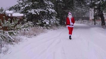 santa claus är har roligt och rolig dans, visar akrobatisk knep, element av stridande och rolig Hoppar utomhus- i vinter- på en snöig väg med tall träd. fira jul och ny år. video