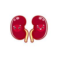 Cartoon kidneys human body organ, reins character vector