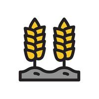 íconos de cereales grises con arroz, trigo, maíz, avena, avena, signos de cebada aislados en fondo blanco. símbolo de orejas de pan de trigo. símbolo de trigo de granja. vector