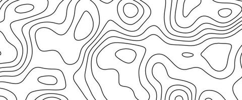 Abstract Blank Detailed Topographic Contour Map Subtle White Vector Background. Geographic topographic map grid. Line map with elevation. Topographic Cartography. Topographic Map. Topographic Relief.