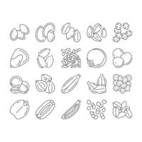 Seed Plant Agriculture Culture Icons Set Vector