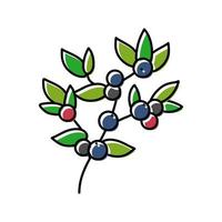 huckleberry bilbery plant color icon vector illustration