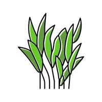 java fern color icon vector illustration