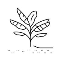 plant banana line icon vector illustration