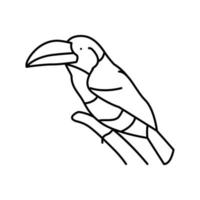 curl crested aracari pájaro exótico línea icono vector ilustración