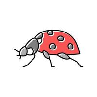 ladybug insect color icon vector illustration