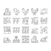 Chicken Meat Factory Collection Icons Set Vector