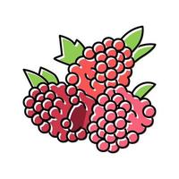 raspberry berry color icon vector illustration
