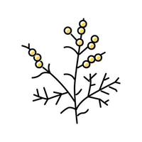 wormwood plant color icon vector illustration