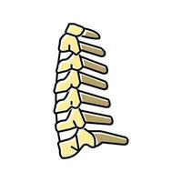 neck bone color icon vector illustration