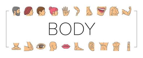 Body And Facial People Parts Icons Set Vector