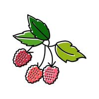 raspberry plant delicious color icon vector illustration