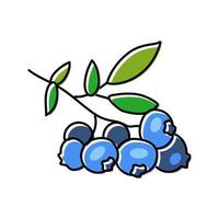 blueberry plant color icon vector illustration