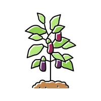ilustración de vector de icono de color de berenjena de planta