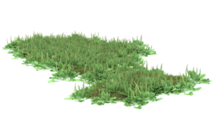 Realistic foliage isolated on transparent background. 3d rendering - illustration png