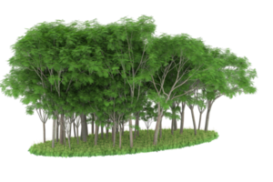 Realistic forest isolated on transparent background. 3d rendering - illustration png