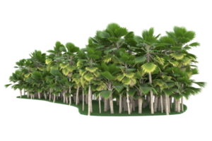 forêt isolée sur fond transparent. rendu 3d - illustration png