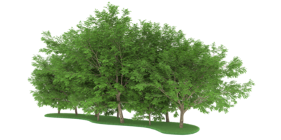 Realistic forest isolated on transparent background. 3d rendering - illustration png